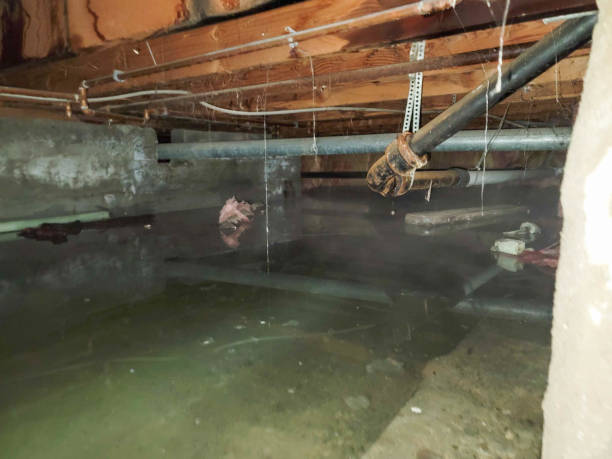 Fire Damage Restoration in Woodside East, DE