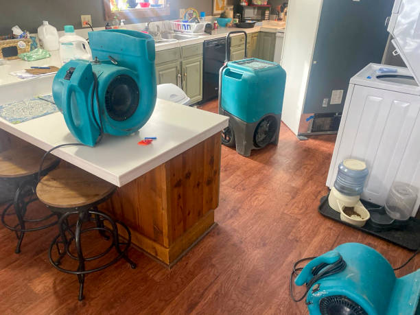 Best Professional water damage repair  in Woodsi East, DE