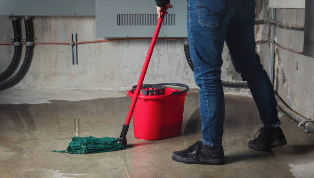 Best Sewage cleanup and water damage restoration  in Woodsi East, DE