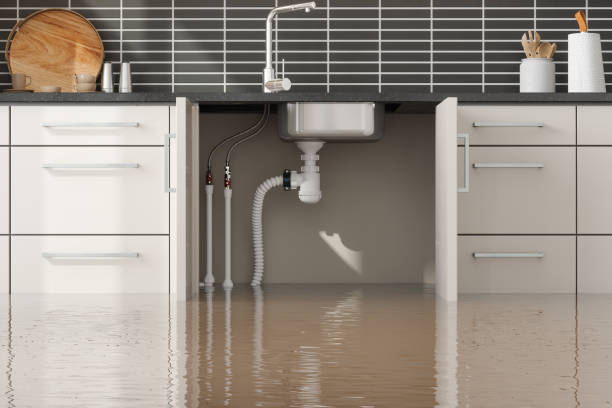 Best Fire Damage Restoration  in Woodsi East, DE