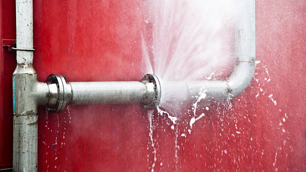Best Water damage mitigation services  in Woodsi East, DE
